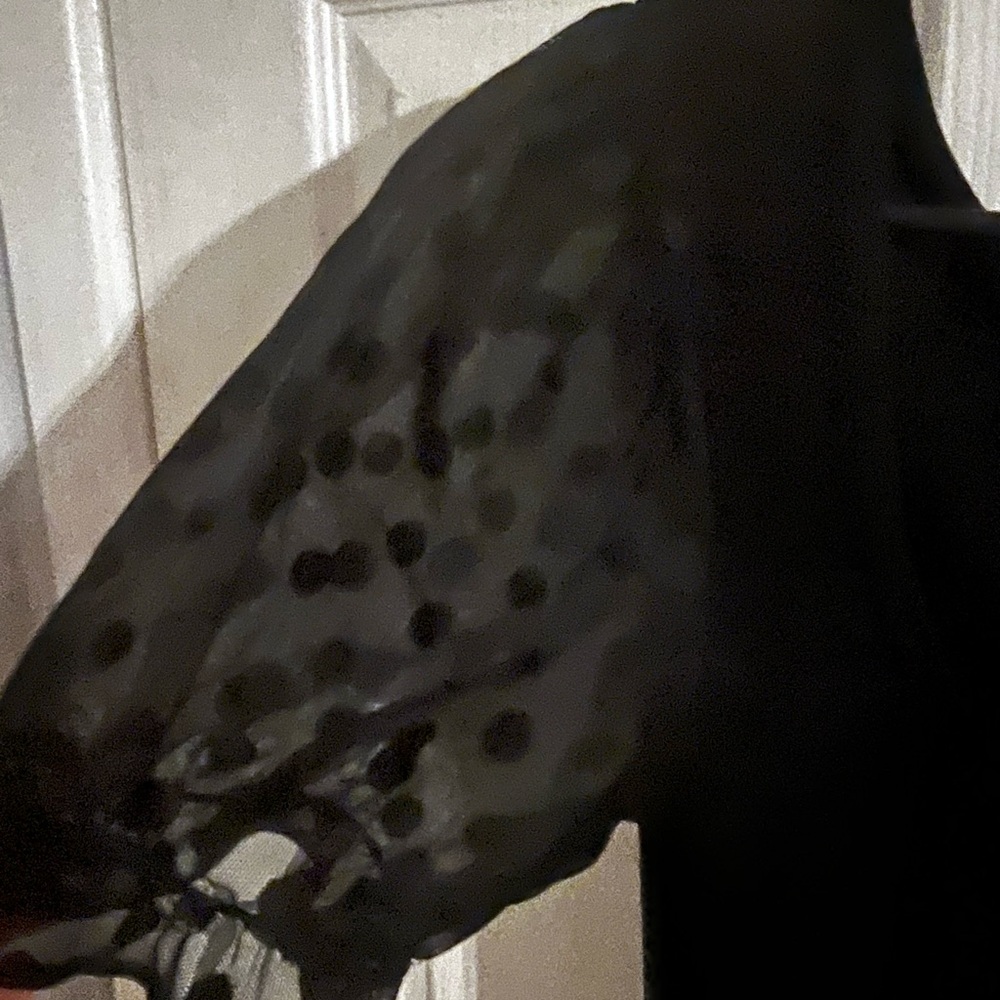 Black Sheer Polka Dot Sleeve Top